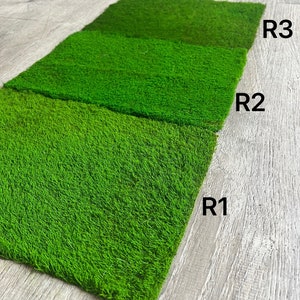 DIY Artificial Moss Turf Lawn Moss Wall Decor Mini Green Simulation Flower  Plant For Wedding, Micro Landscape, And Grass Board From Jaydaxia, $10.51