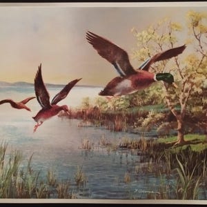 Vintage Dufex Foil Print – Flying Ducks over Lake – 1980s Wildlife Wall Art – Embossed Bird Poster – Retro Nature Scene – Affiche Canards