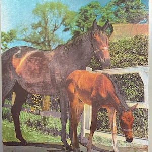 Impression Dufex, image, équitation, collectionneur, décoration années 80, cadeau de Noël, idée cadeau, cheveaux deco, cadeau équitation