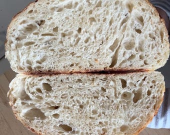 Wilg | Canadees gerezen gedehydrateerde zuurdesemstarter | Wilde, zeer actieve gistcultuur voor ambachtelijk brood