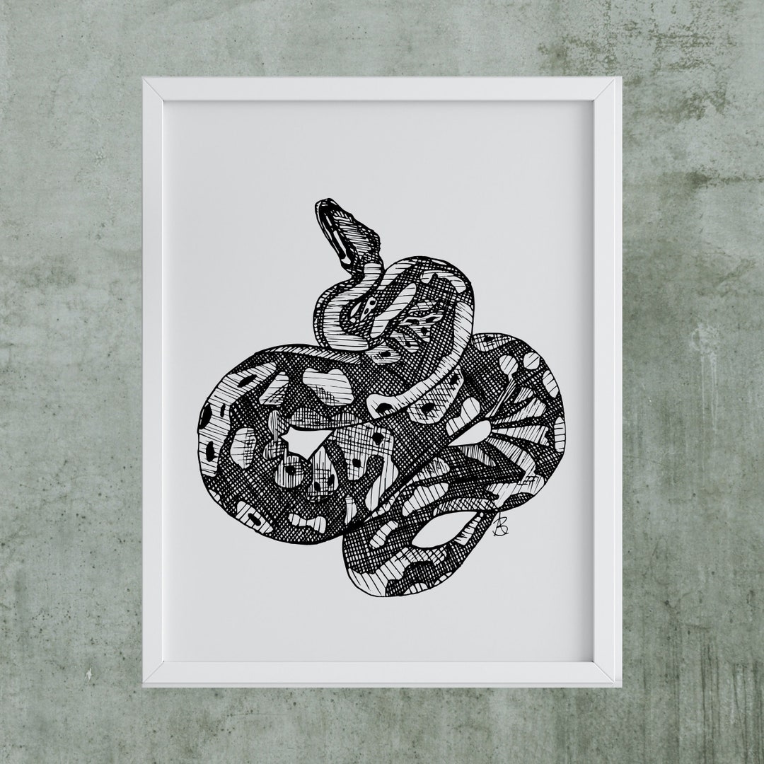 Ball Python Snake Pen Ink Drawing Black and White Digital - Etsy