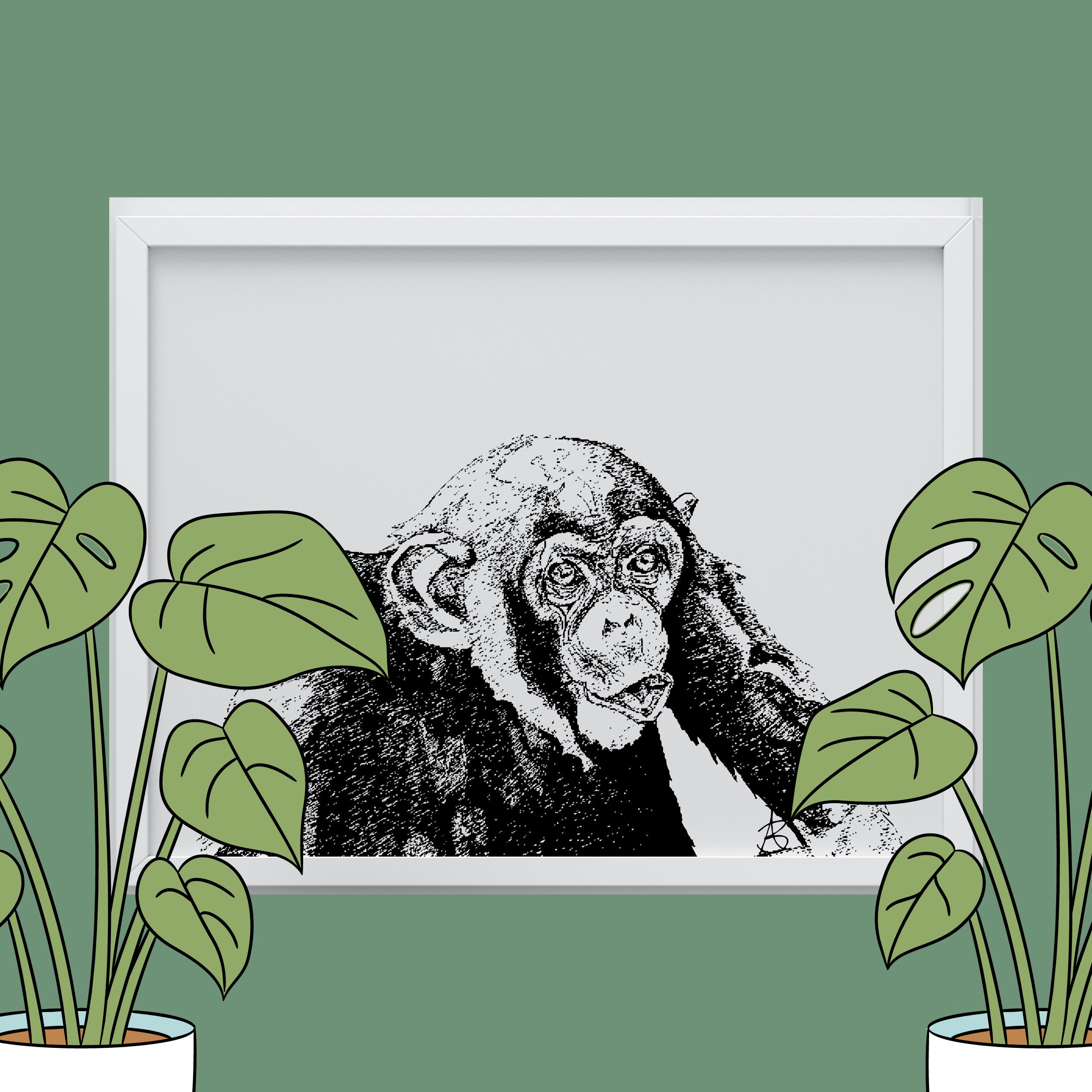 Troglodytes pan-chimpanzés ilustração stock. Ilustração de macaco -  202574292