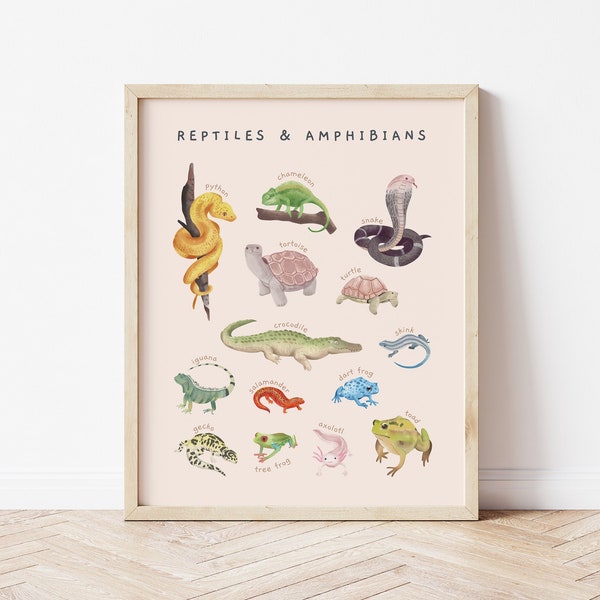 Reptiles Amphibians Montessori Educational Poster | Watercolor Illustrated Animal Print | Hand-painted Toddler Room Decor | Digital Download