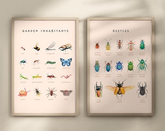 Carteles educativos de escarabajos, insectos y moluscos / Juego de 2 impresiones Montessori de tema natural / Decoración de la habitación del niño de la acuarela / Descarga digital