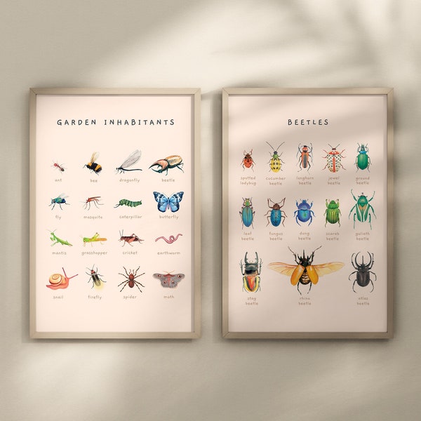 Beetles, Insects & Mollusks Educational Posters | Set of 2 Nature Theme Montessori Prints | Watercolor Toddler Room Decor | Digital Download