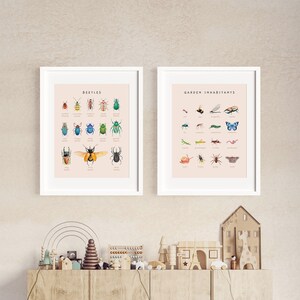 Carteles educativos de escarabajos, insectos y moluscos / Juego de 2 impresiones Montessori de tema natural / Decoración de la habitación del niño de la acuarela / Descarga digital imagen 3
