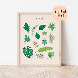 Blätter Montessori Lernposter | Aquarell druckbare Homeschool Kleinkind Zimmer Dekor | Kinderzimmer Wand Kunst | Digitaler Download