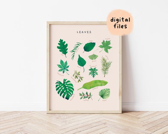 Leaves Montessori Poster: Watercolor Nursery Decor (Digital Download)