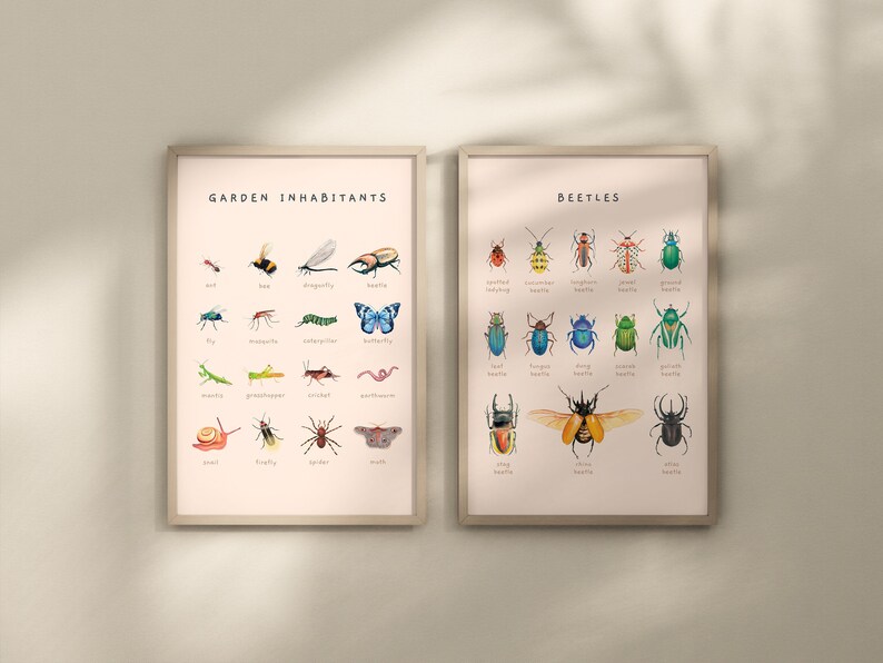 Carteles educativos de escarabajos, insectos y moluscos / Juego de 2 impresiones Montessori de tema natural / Decoración de la habitación del niño de la acuarela / Descarga digital imagen 1