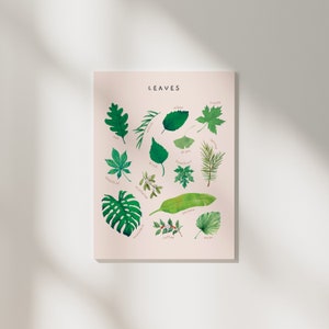 May include: A pink poster with the word "LEAVES" at the top. The poster features illustrations of different types of leaves, each labeled with the name of the tree or plant it comes from. The leaves are arranged in a circular pattern.