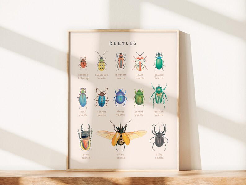 Carteles educativos de escarabajos, insectos y moluscos / Juego de 2 impresiones Montessori de tema natural / Decoración de la habitación del niño de la acuarela / Descarga digital imagen 7