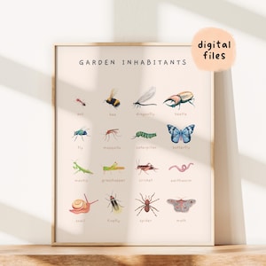 Poster éducatif Montessori insectes et mollusques | Décoration aquarelle pour chambre de tout-petit pour l'école à la maison | Art mural imprimable pour chambre de bébé | Téléchargement numérique