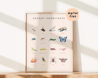 Póster educativo Montessori sobre insectos y moluscos / Decoración de acuarela para la habitación de los niños pequeños / Arte de pared imprimible para guardería / Descarga digital