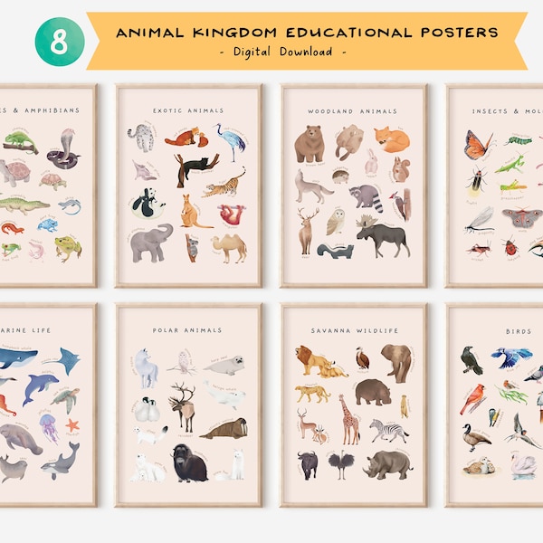 Conjunto de 8 carteles educativos de animales / Acuarela Naturaleza Tema Montessori Impresiones / Decoración de la habitación del niño de la escuela en el hogar / Descarga digital de la guardería
