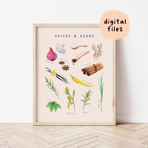 Spices & Herbs Montessori Educational Poster | Printable Watercolor Homeschool Toddler Room Decor | Nursery Wall Art | Digital Download