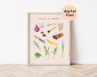 Gewürze & Kräuter Aquarell Poster: Montessori Homeschool Decor (Digitaler Download)