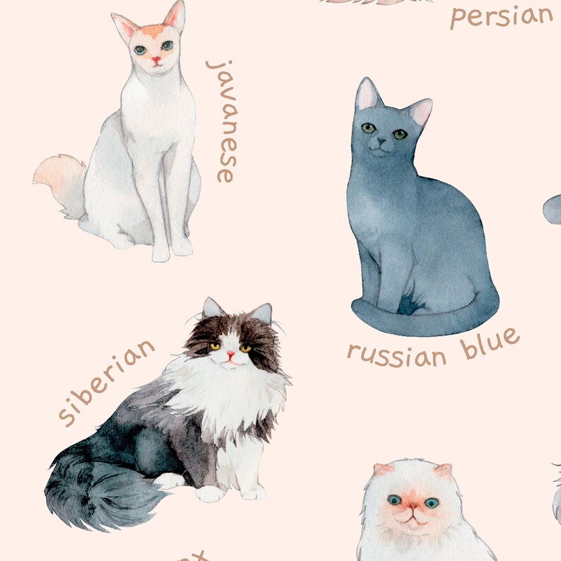 Carteles educativos de razas de perros y gatos / Conjunto de 2 decoración imprimible de habitación para niños pequeños / Arte de pared de guardería Montessori de acuarela / Descarga digital imagen 5