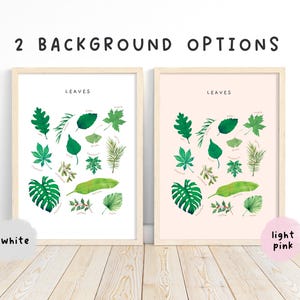 May include: Two framed prints of a botanical illustration of leaves. The print on the left has a white background and the print on the right has a light pink background. Both prints have the word "Leaves" at the top.