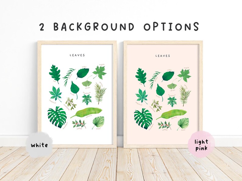May include: Two framed prints of a botanical illustration of leaves. The print on the left has a white background and the print on the right has a light pink background. Both prints have the word "Leaves" at the top.