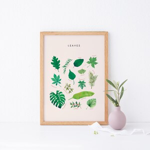 May include: A framed print with a light pink background and the word "LEAVES" in black text at the top. The print features illustrations of 15 different types of leaves, each labeled with its name.