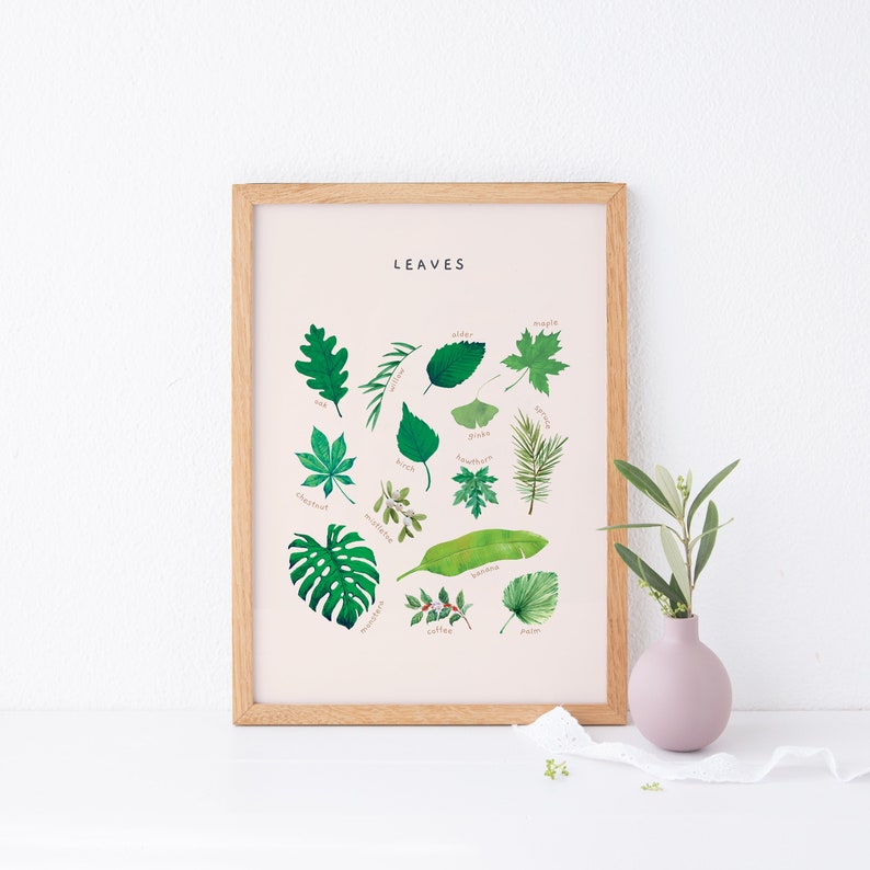 May include: A framed print with a light pink background and the word "LEAVES" in black text at the top. The print features illustrations of 15 different types of leaves, each labeled with its name.