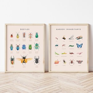 Carteles educativos de escarabajos, insectos y moluscos / Juego de 2 impresiones Montessori de tema natural / Decoración de la habitación del niño de la acuarela / Descarga digital imagen 9