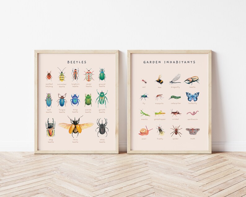 Carteles educativos de escarabajos, insectos y moluscos / Juego de 2 impresiones Montessori de tema natural / Decoración de la habitación del niño de la acuarela / Descarga digital imagen 9