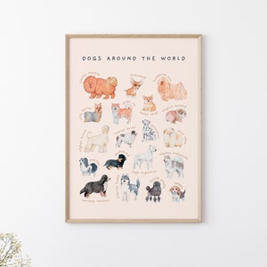 Carteles educativos de razas de perros y gatos / Conjunto de 2 decoración imprimible de habitación para niños pequeños / Arte de pared de guardería Montessori de acuarela / Descarga digital imagen 8