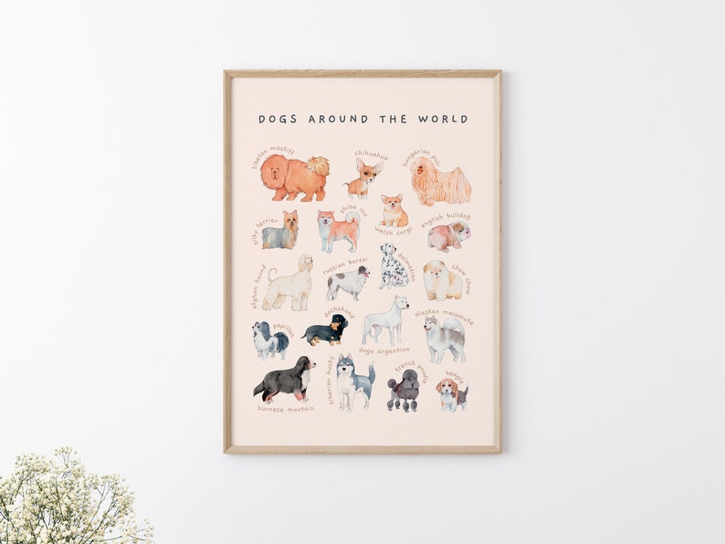 Carteles educativos de razas de perros y gatos / Conjunto de 2 decoración imprimible de habitación para niños pequeños / Arte de pared de guardería Montessori de acuarela / Descarga digital imagen 8