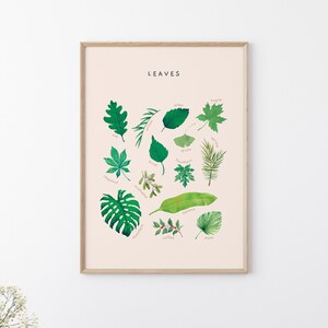 May include: A framed print with the word "LEAVES" at the top and illustrations of different types of leaves with their names written below each one. The leaves are drawn in a watercolor style and are arranged in a circular pattern.