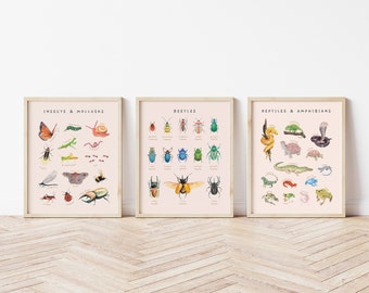 Reptiles Beetles Insects & Mollusk Educational Posters| Set of 3 Montessori Homeschool Print | Watercolor Toddler Room Decor | Digital Files