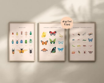 Pósteres educativos de mariposas, escarabajos, insectos y moluscos/Juego de arte de pared Montessori imprimible/Decoración de habitación infantil con acuarela/Archivos digitales