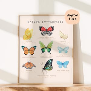 Unique Butterflies Montessori Educational Poster | Printable Homeschool Insects Wall Art | Watercolor Toddler Room Decor | Digital Download