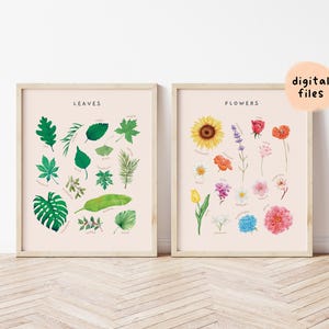 May include: Two printable posters with illustrations of leaves and flowers. The poster on the left has the word "Leaves" at the top and shows various types of leaves. The poster on the right has the word "Flowers" at the top and shows various types of flowers.