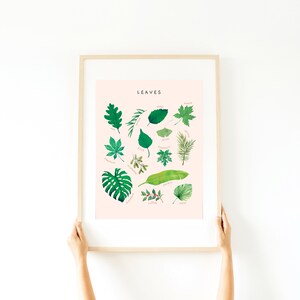 May include: A framed print with a pink background and the word "LEAVES" in black text at the top. The print features a circular arrangement of 15 different types of leaves, each labeled with its name in black text. The leaves are illustrated in a watercolor style.