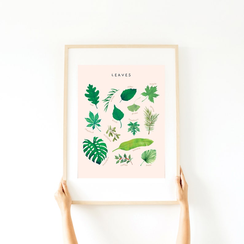 May include: A framed print with a pink background and the word "LEAVES" in black text at the top. The print features a circular arrangement of 15 different types of leaves, each labeled with its name in black text. The leaves are illustrated in a watercolor style.