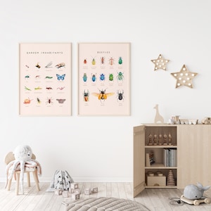 Carteles educativos de escarabajos, insectos y moluscos / Juego de 2 impresiones Montessori de tema natural / Decoración de la habitación del niño de la acuarela / Descarga digital imagen 4