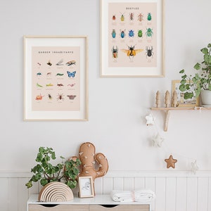 Carteles educativos de escarabajos, insectos y moluscos / Juego de 2 impresiones Montessori de tema natural / Decoración de la habitación del niño de la acuarela / Descarga digital imagen 2