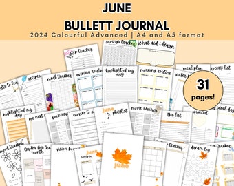 2024 June planner | June template | bullett journal | pdf | digital | colourful | monthly tracker | printable | Notebook | Organised