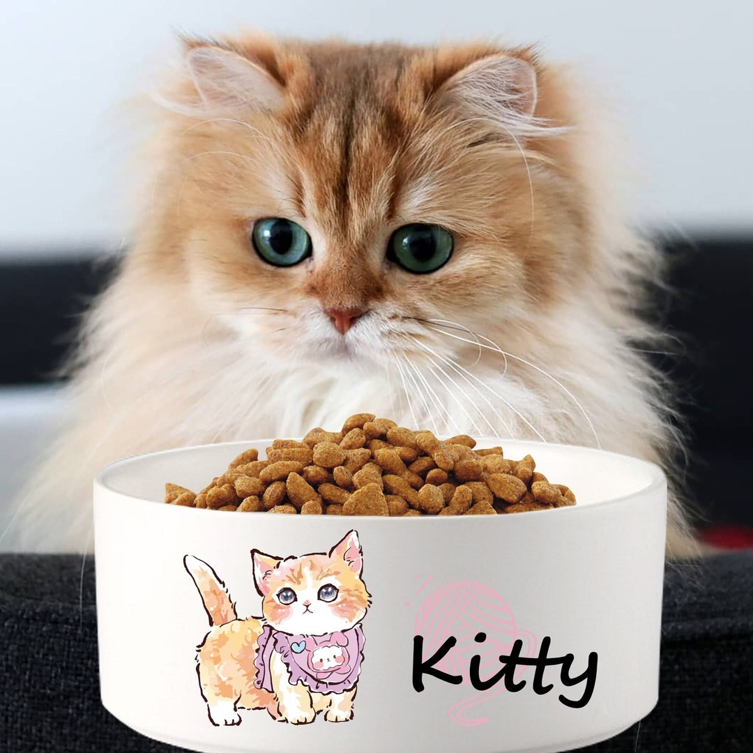 Customized Cat Bowl Funny Cat Dish for Water and Food Cute Etsy