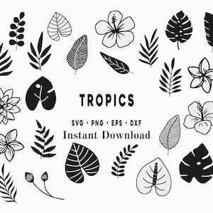 36 piece Tropical leaves svg Monstera leaf svg clipart Commercial use svg Jungle leaves clipart Palm svg Tropical party decor png dxf emf