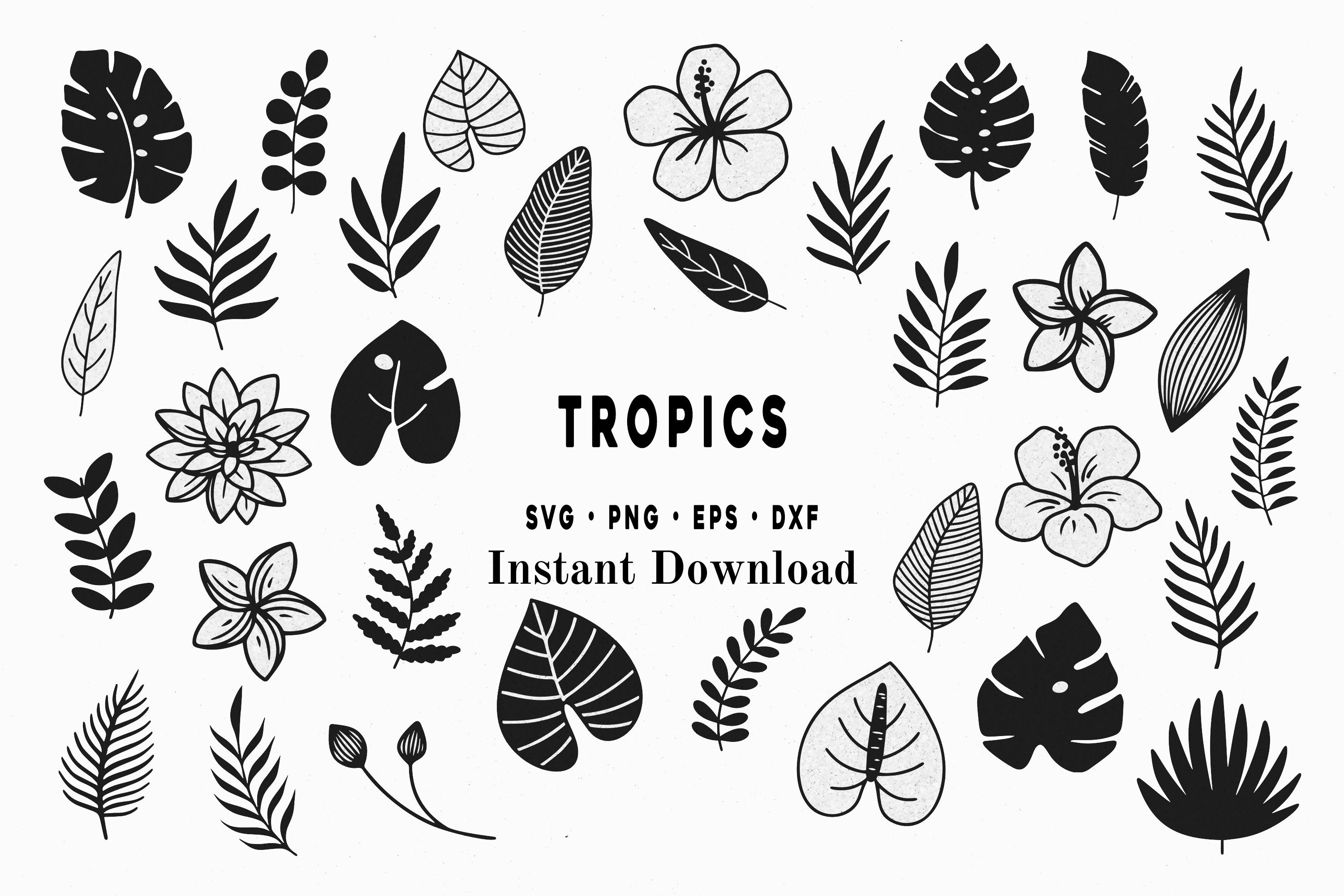 36 Piece Tropical Leaves Svg Monstera Leaf Svg Clipart Commercial Use ...