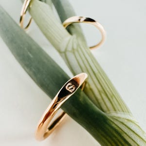May include: Close-up of several gold-colored rings, one with the letter "S" engraved on it. The rings are set against a backdrop of green and white, creating a visually appealing contrast. The rings appear to be made of a shiny metal.