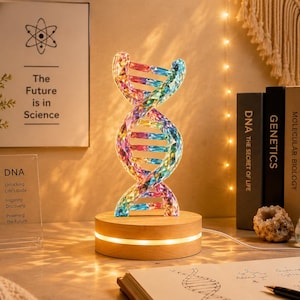 Puede incluir: Una estructura de doble hélice de ADN de cristal facetado multicolor montada sobre una base circular de madera clara con una luz LED integrada. La escultura muestra un espectro de colores vibrantes y se mantiene erguida, emitiendo un brillo cálido.