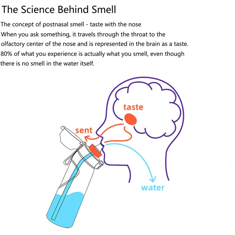 Creative Flavored Water Bottle Pods 20 PCS Air Flavor Pods Etsy Australia