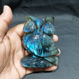 May include: A carved owl figurine made of labradorite stone. The owl is predominantly blue and gray, with iridescent flashes of color. The figurine is held in a hand, showcasing the intricate details of the carved feathers and facial features.