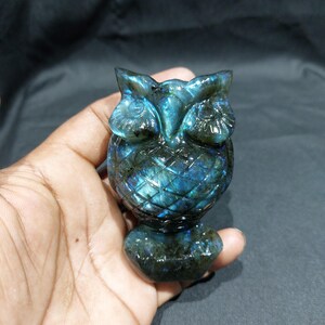 May include: A carved owl figurine in shades of blue and green. The owl is made of a stone with a shimmering, iridescent quality. The figurine has detailed features, including large eyes and textured feathers. The owl is perched on a small base.