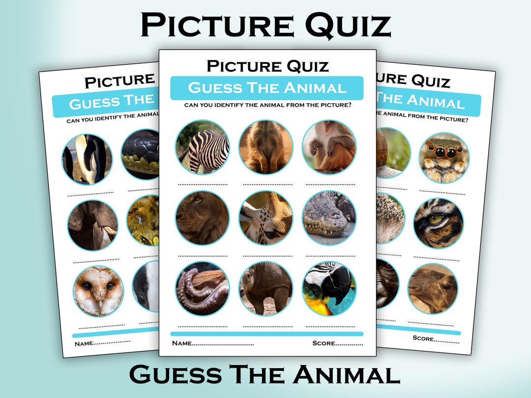 Printable Guess the Animal Quiz PDF With Answers Instant Download - Etsy UK