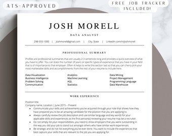 Data Analyst Resume Template Google Docs Data Scientist ATS Friendly CV Template Clean and Concise Layout for Job Application Resume Word