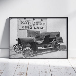 Bird Cage, Vintage Photo, Wall Art, Digital Download